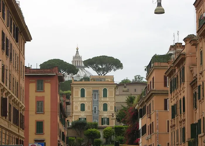 Vatican White Domus